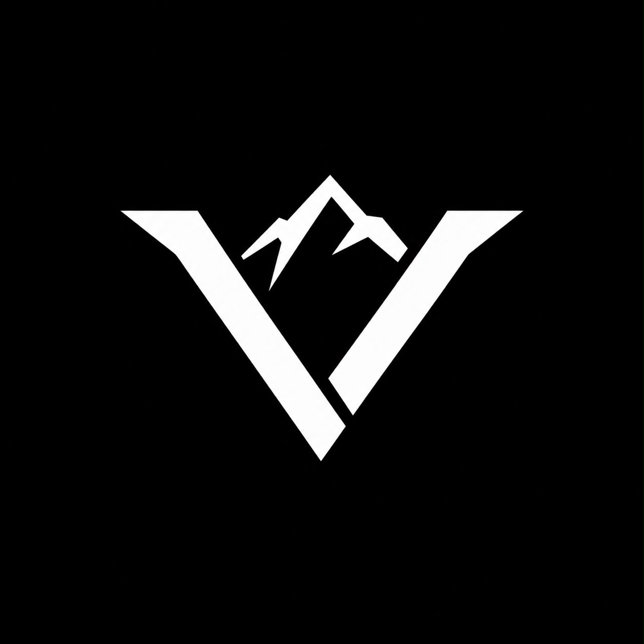 VIS SPORTS